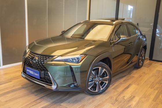LEXUS UX 250h 2.0 VVT-I HYBRID LUXURY CVT